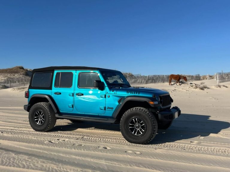 Wild horse beside a Jeep Wrangler rental on the Corolla 4x4 beach